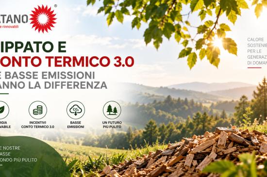 Caldaie a  cippato e Conto Termico 3.0: le basse emissioni fanno la differenza